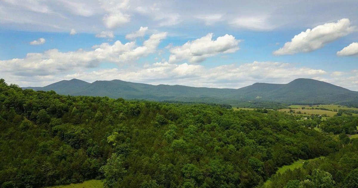 Image for 1900's Log Cabin w/ 35 acres