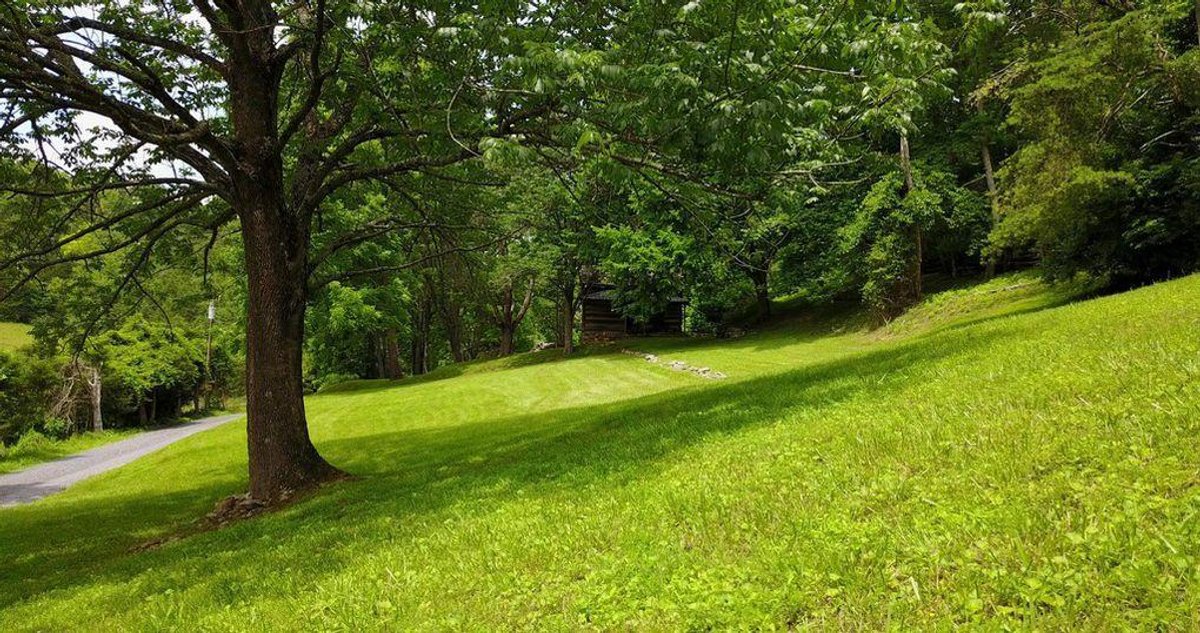 Image for 1900's Log Cabin w/ 35 acres