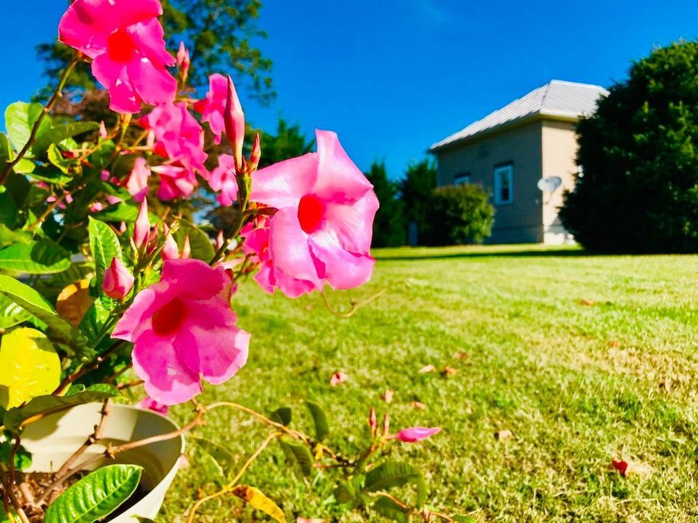 Image for 4 Bedroom Country Home on 1+ Acre