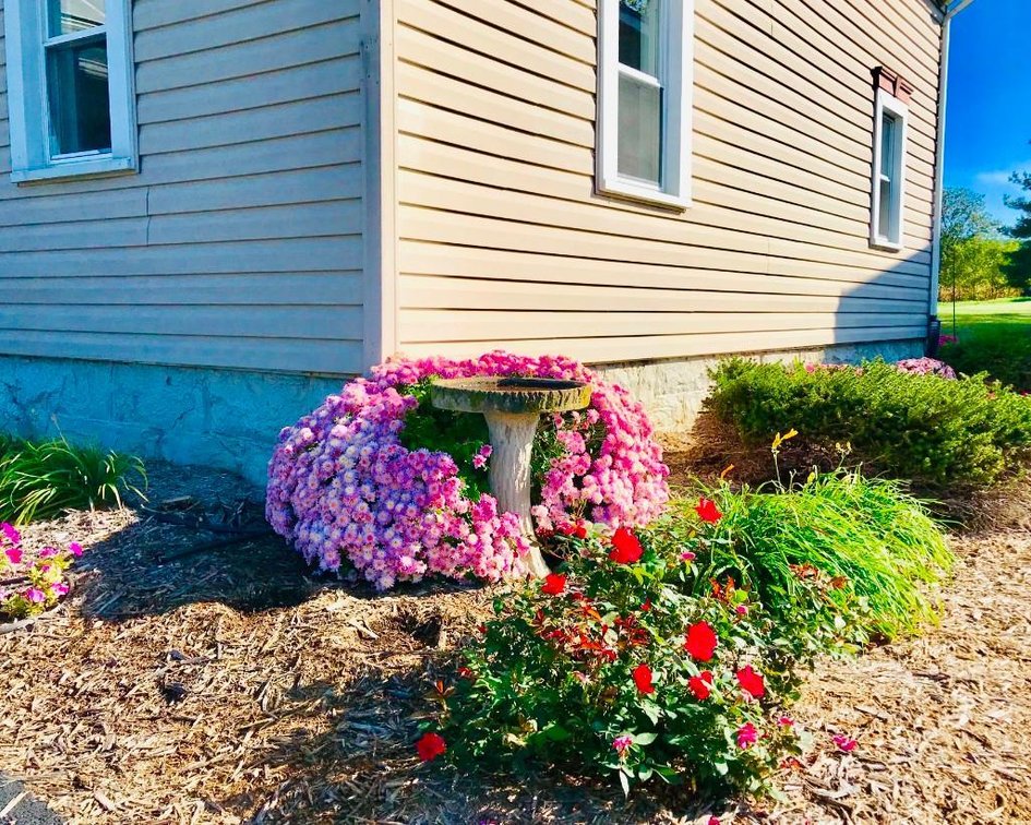 Image for 4 Bedroom Country Home on 1+ Acre