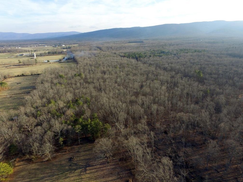Image for 9+ Acres with Cape Cod Home