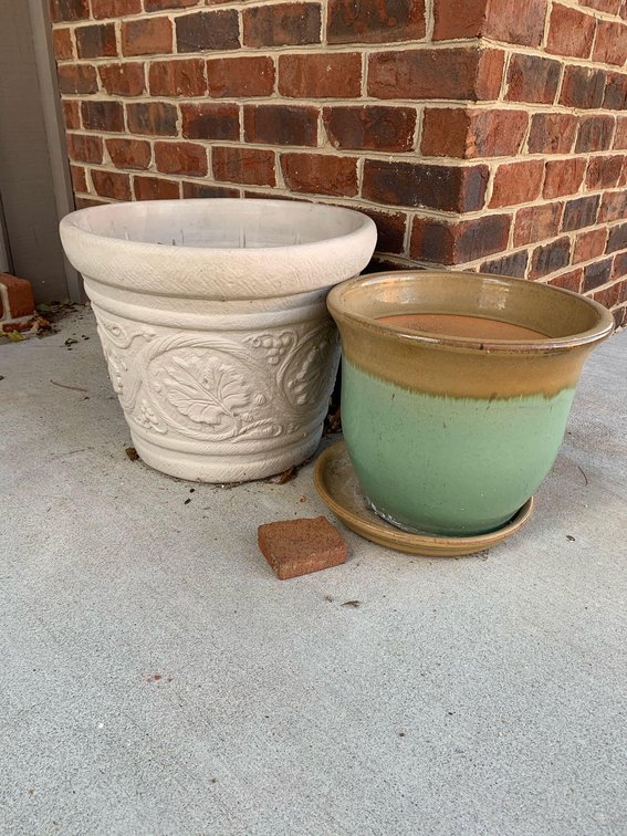 Image for Wholesale Auction, Harrisonburg