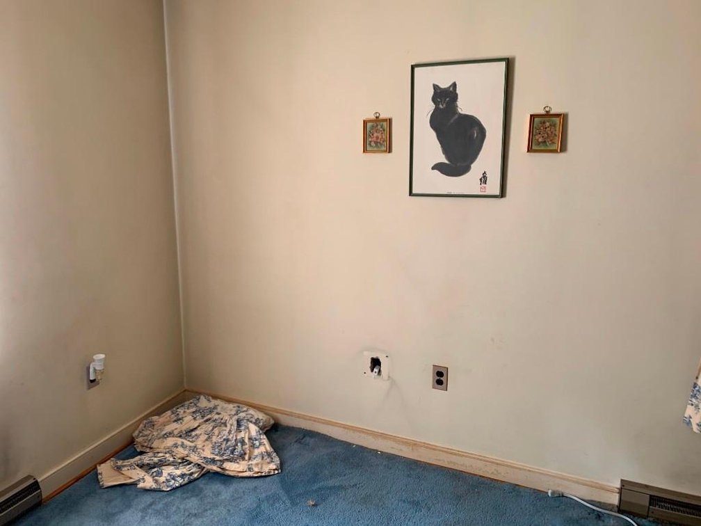 Image for Wholesale Auction, Charlottesville