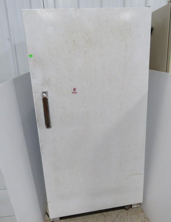 Montgomery Ward 19.2 Ft.³ Upright Freezer, Reported To Be Working, Not Tested, Has Odor