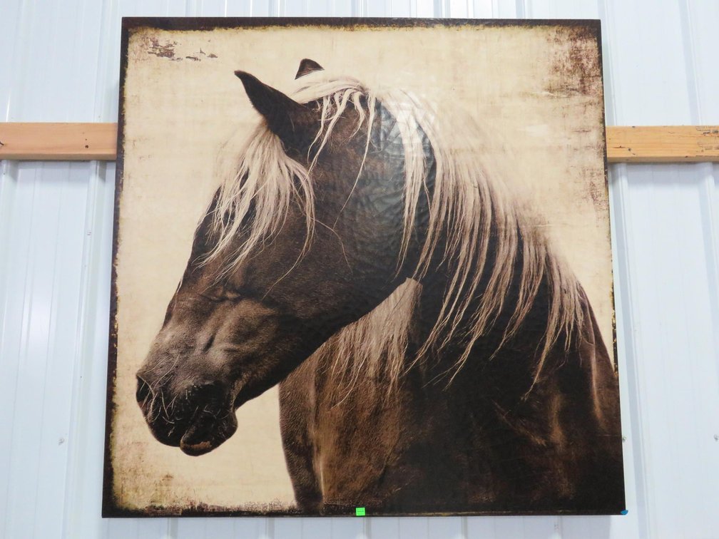 Large Horse Canvas