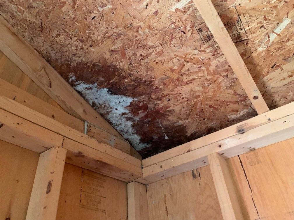 Image for Miller's 14x28 Storage Building