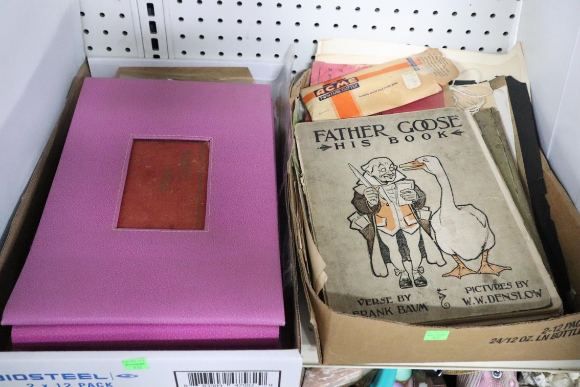 Vintage Postcard Album, Books and Pamphlets