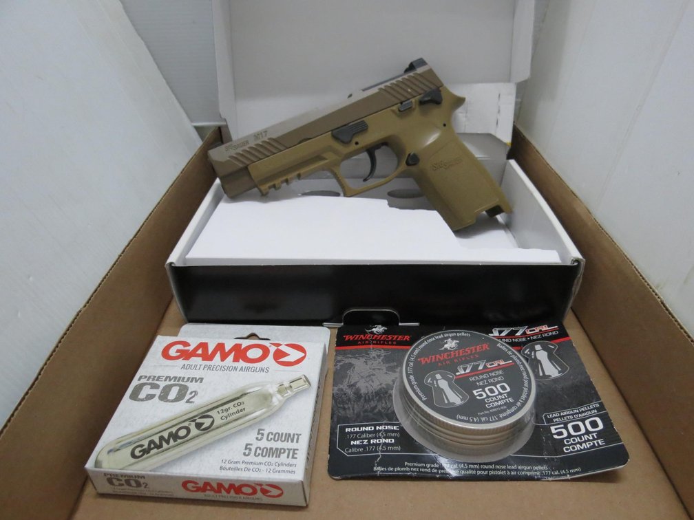 Sig Sauer M17 Co2 Pellet Pistol
