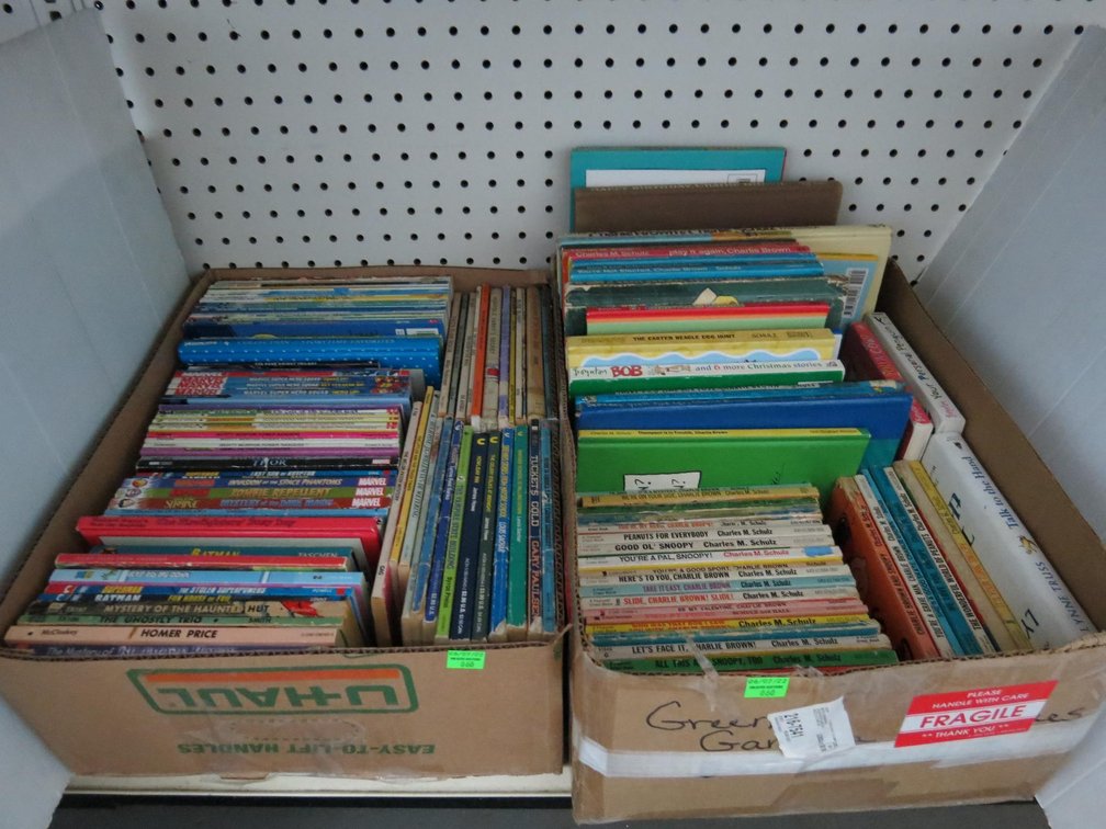 Two Boxes of Children's Books
