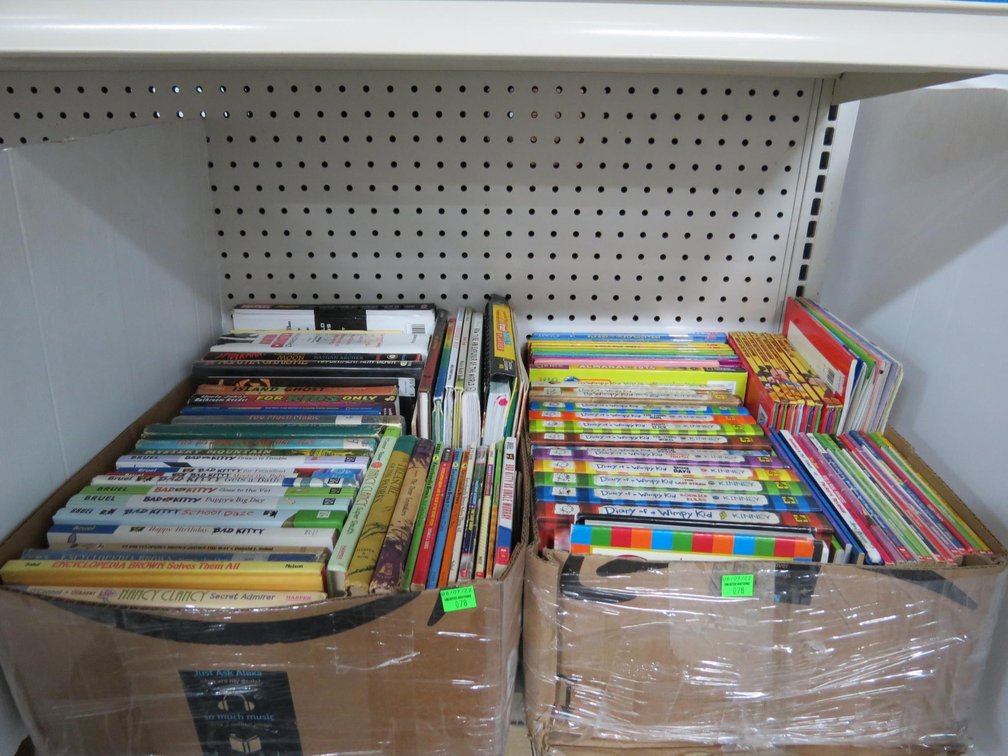 Two Boxes of Mostly Children's Books