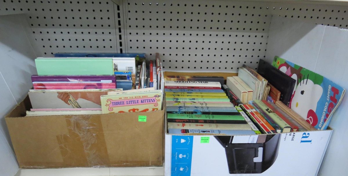 Two Boxes of Children's Books