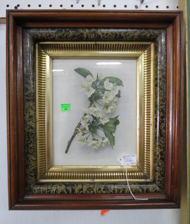 Framed Picture