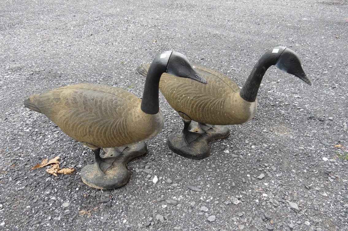 Pair of Plastic Geese