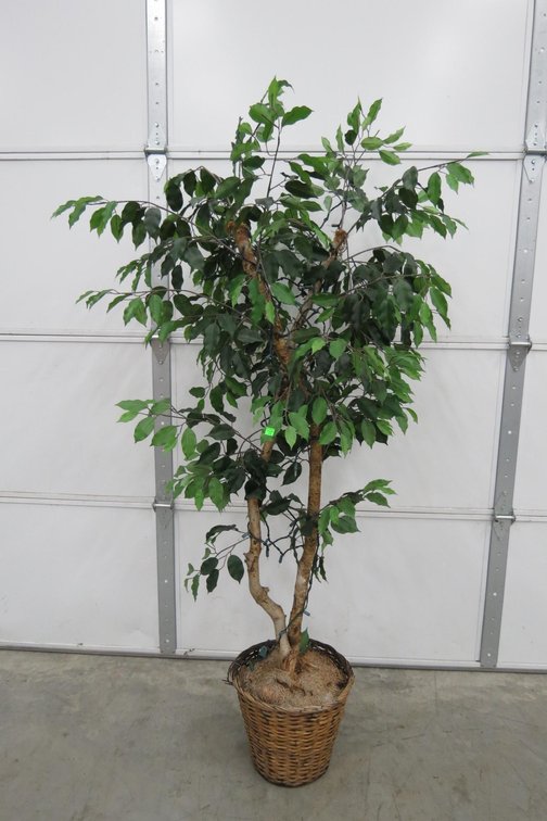 Artificial Tree