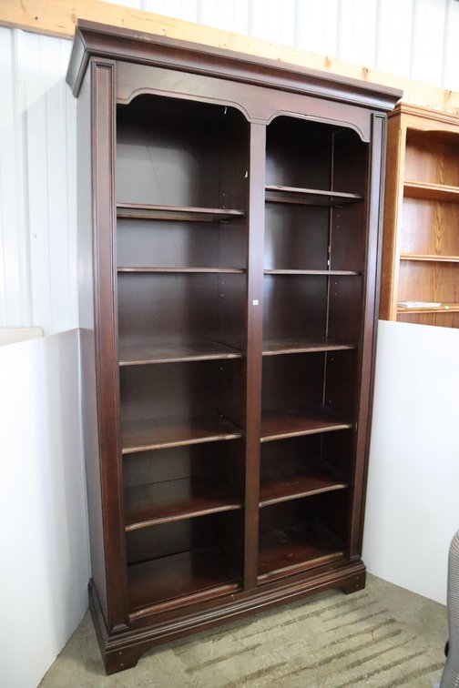 Illuminated Bookcase