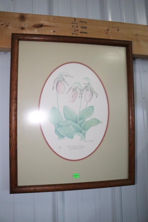 Pink Lady Slipper Framed Print