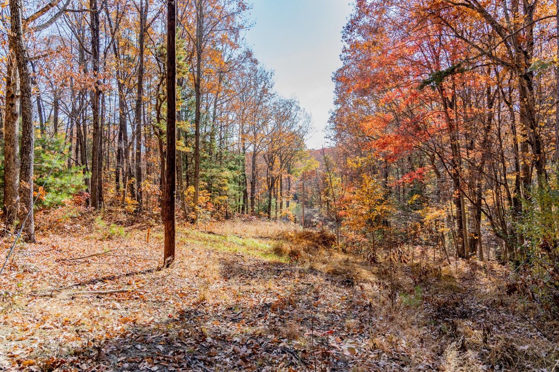 Image for Greenville Real Estate Auction