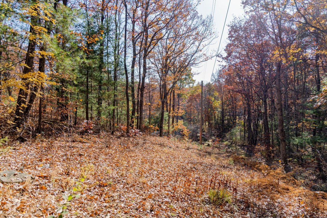 Image for Greenville Real Estate Auction