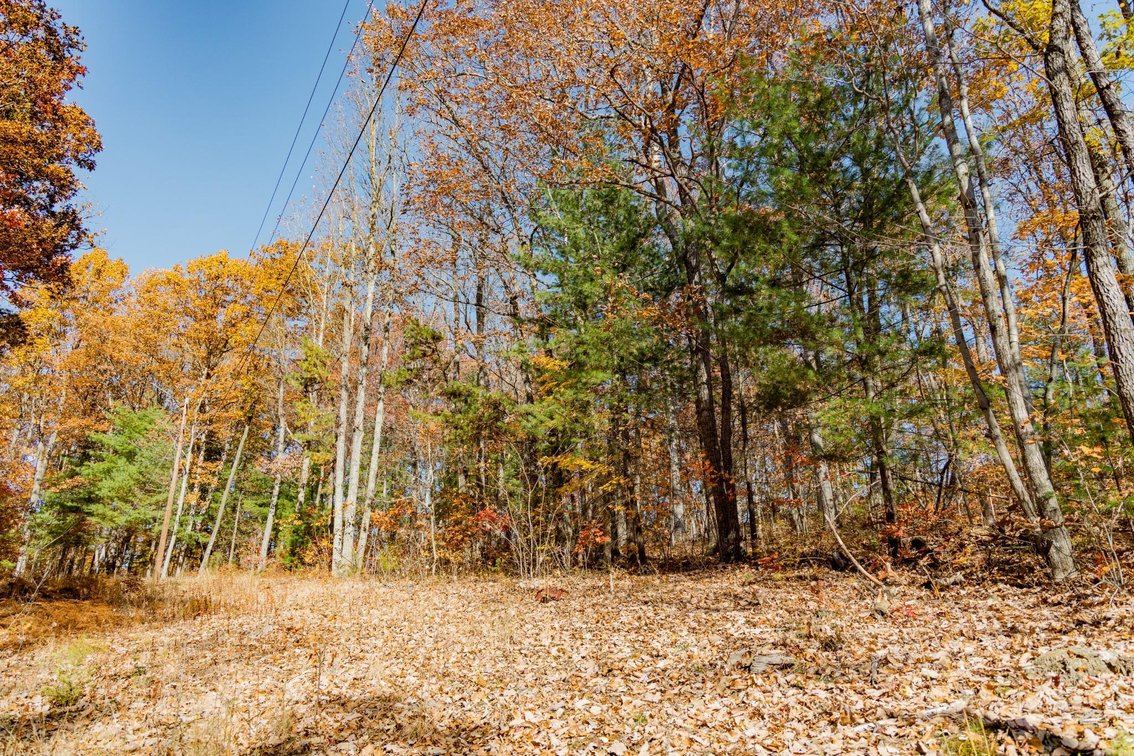 Image for Greenville Real Estate Auction