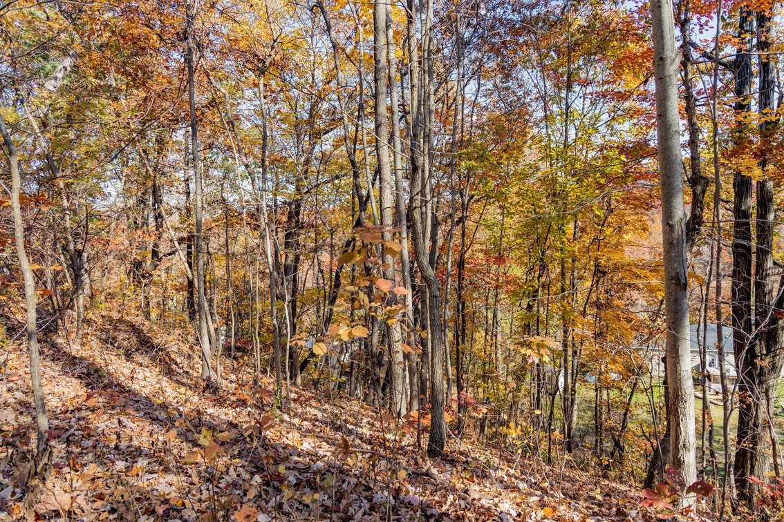 Image for Greenville Real Estate Auction