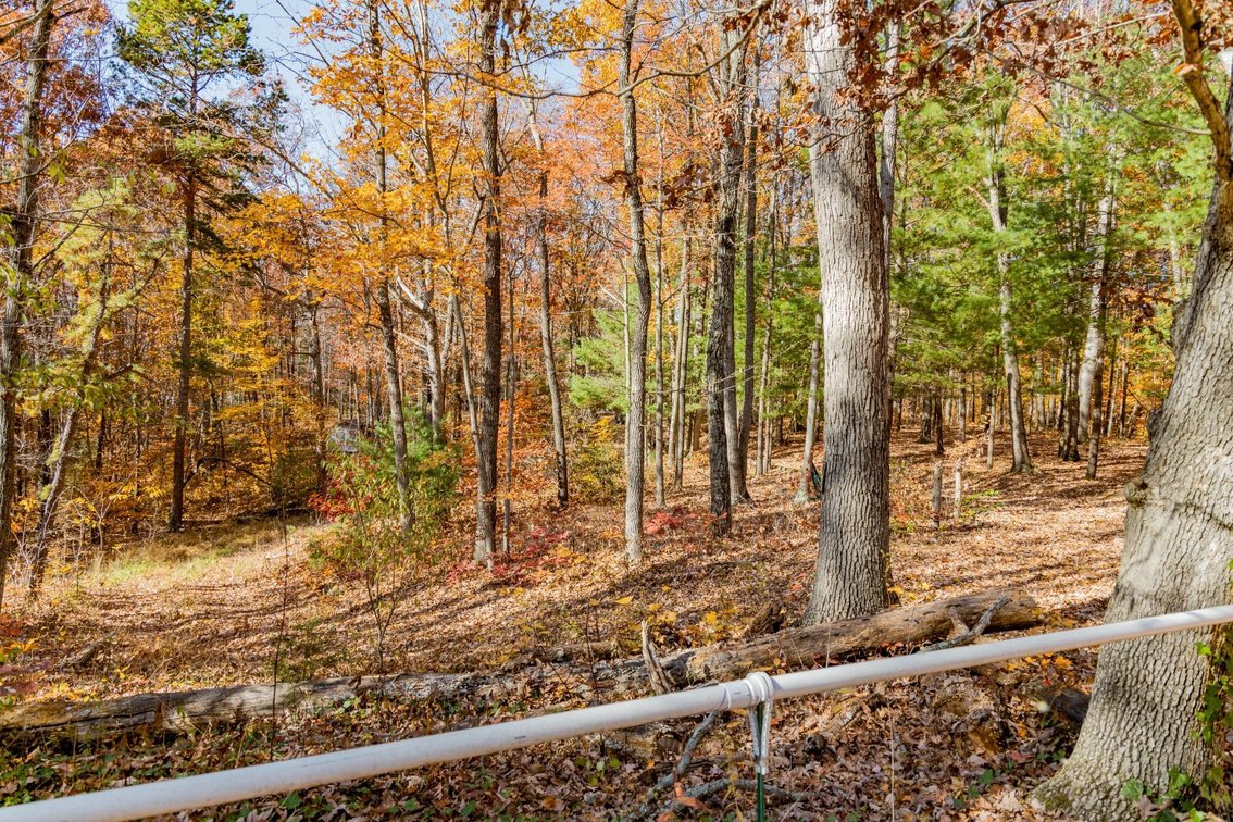 Image for Greenville Real Estate Auction