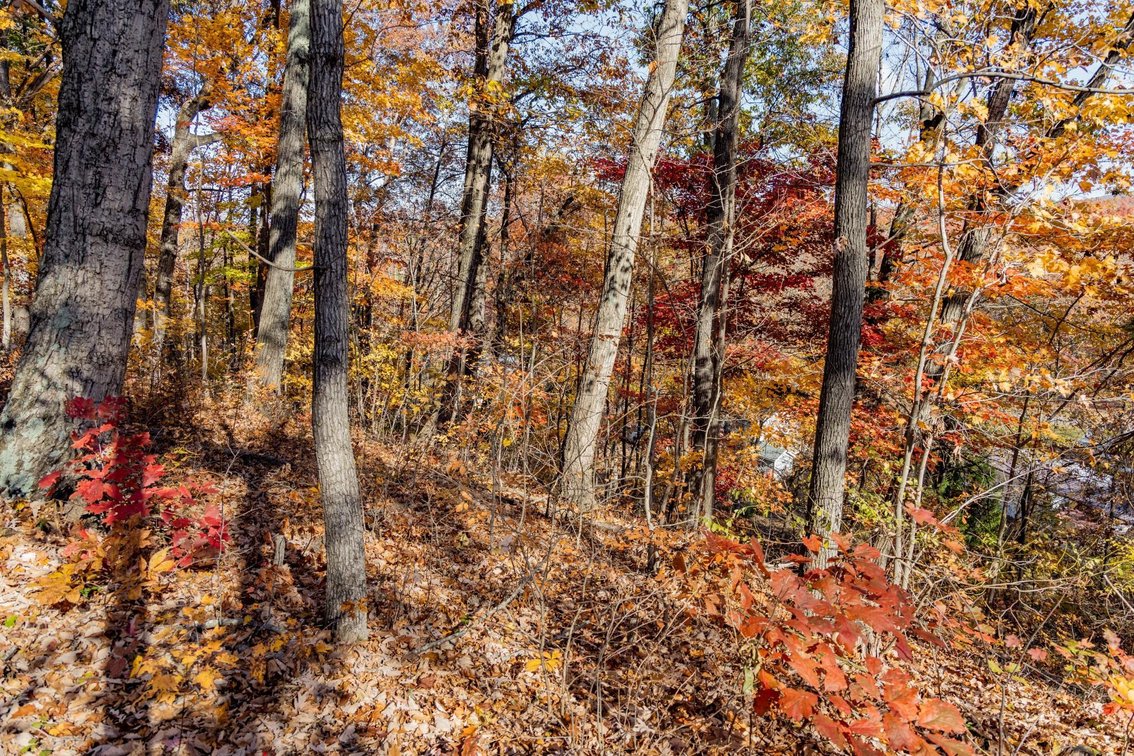 Image for Greenville Real Estate Auction