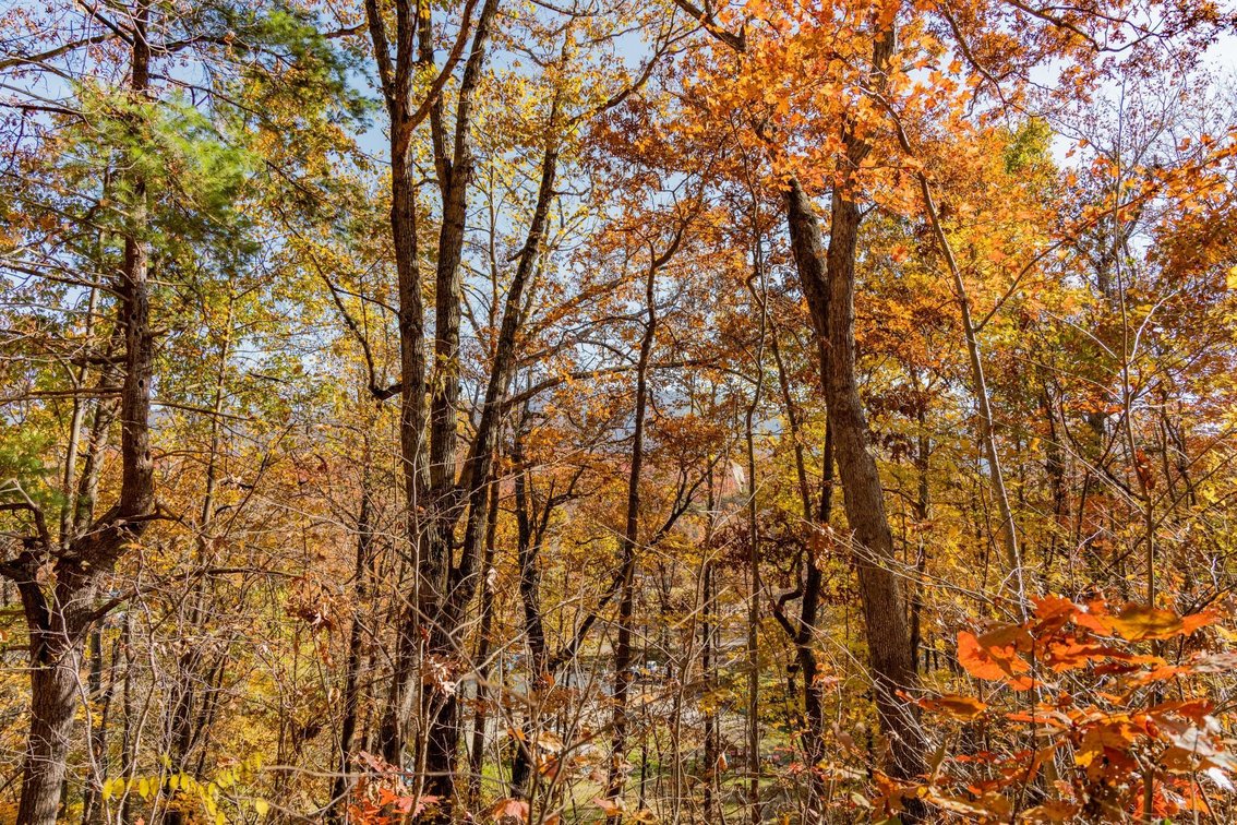 Image for Greenville Real Estate Auction