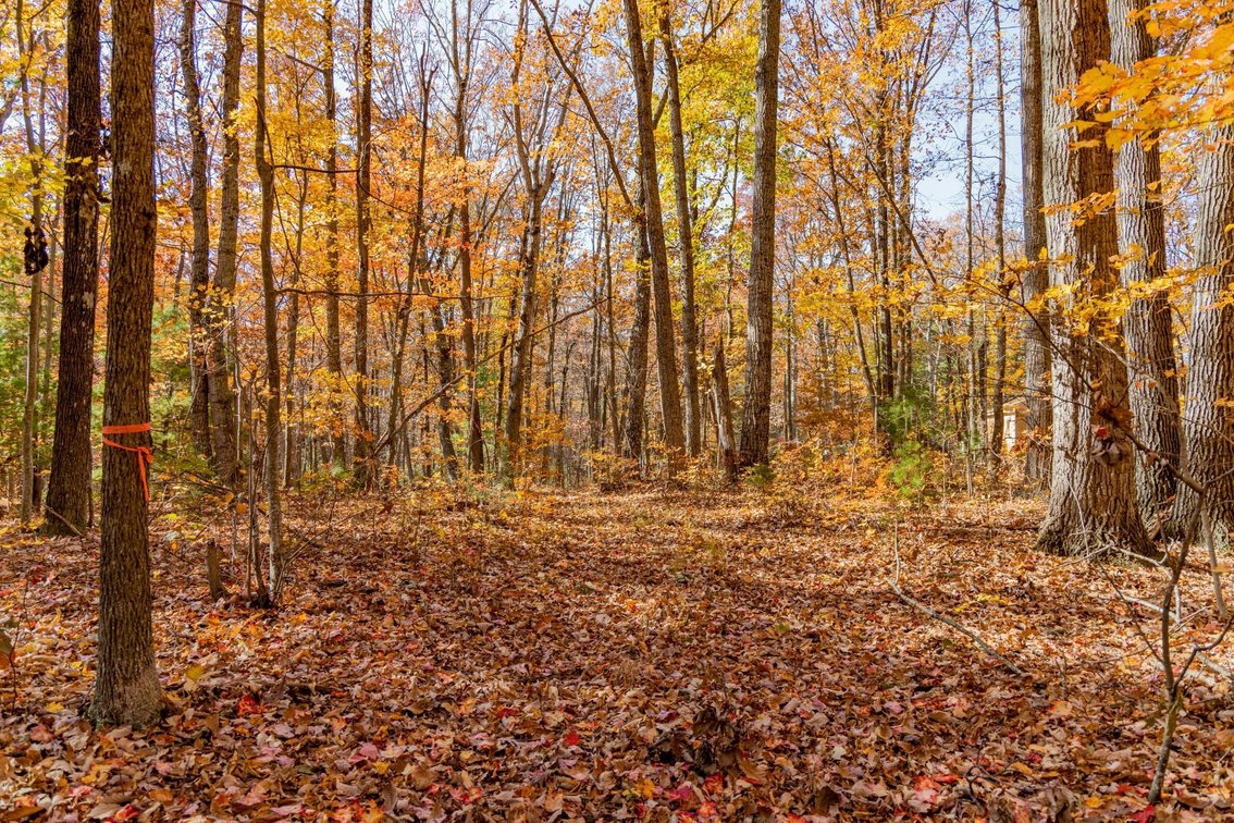 Image for Greenville Real Estate Auction