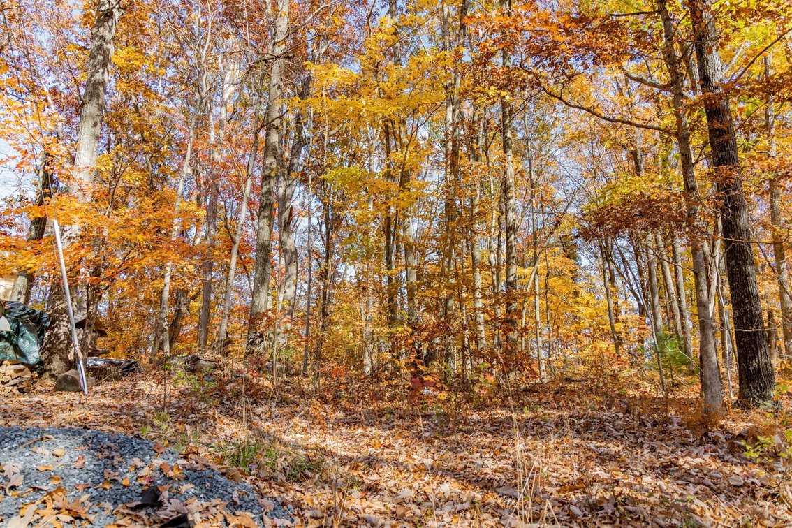 Image for Greenville Real Estate Auction