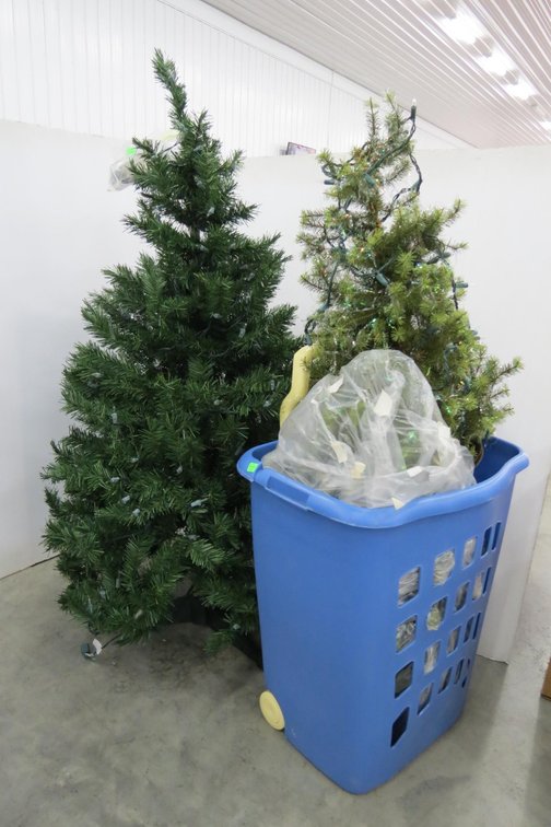 Small Christmas Trees
