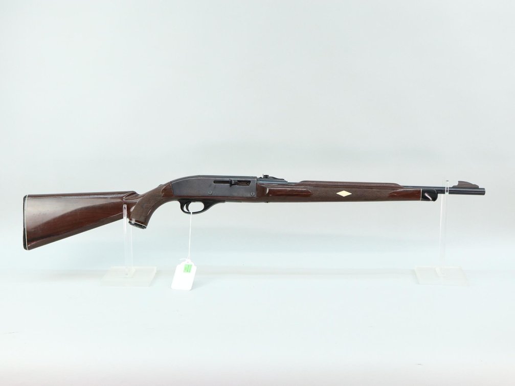 REMINGTON NYLON 66 22 LR