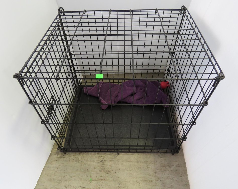 Pet Crate