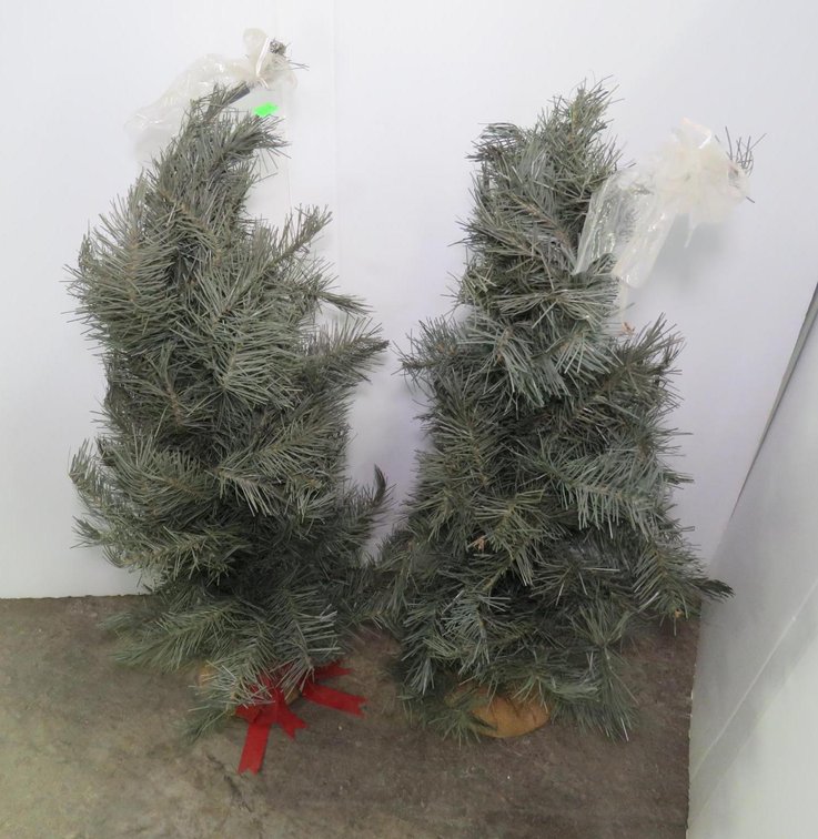 Decorative Pine Trees