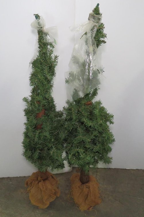Two Small Decorative Trees