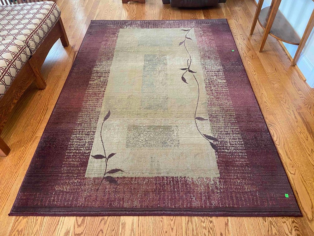 Area Rug and Doormat