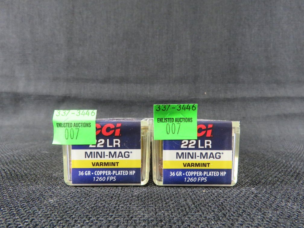 22 LR, 200 Rounds, 36 Grain Copper Plated Hp, Varmint, CCI