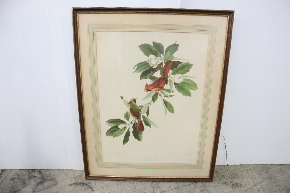 "Cardinal" Framed Lithograph