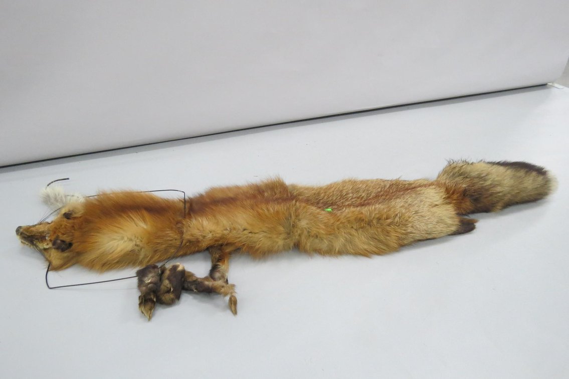 Tanned Red Fox Hide