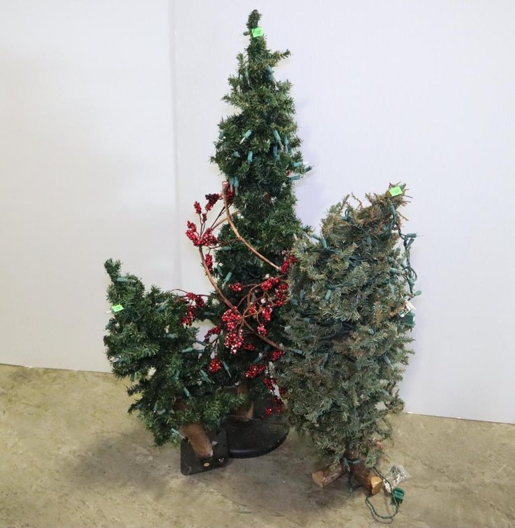 Three Small Illuminated Christmas Trees