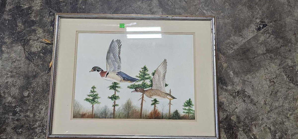 Watercolor Painting of Two Ducks By F. Fox Iii, '87