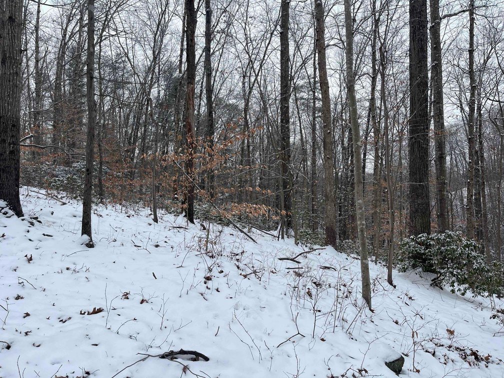 Image for Charlottesville Land