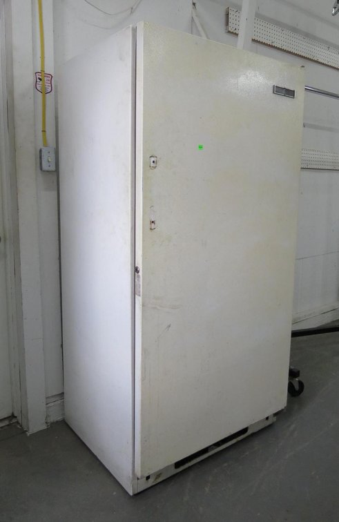 Upright Freezer, Needs Cleaned, Works