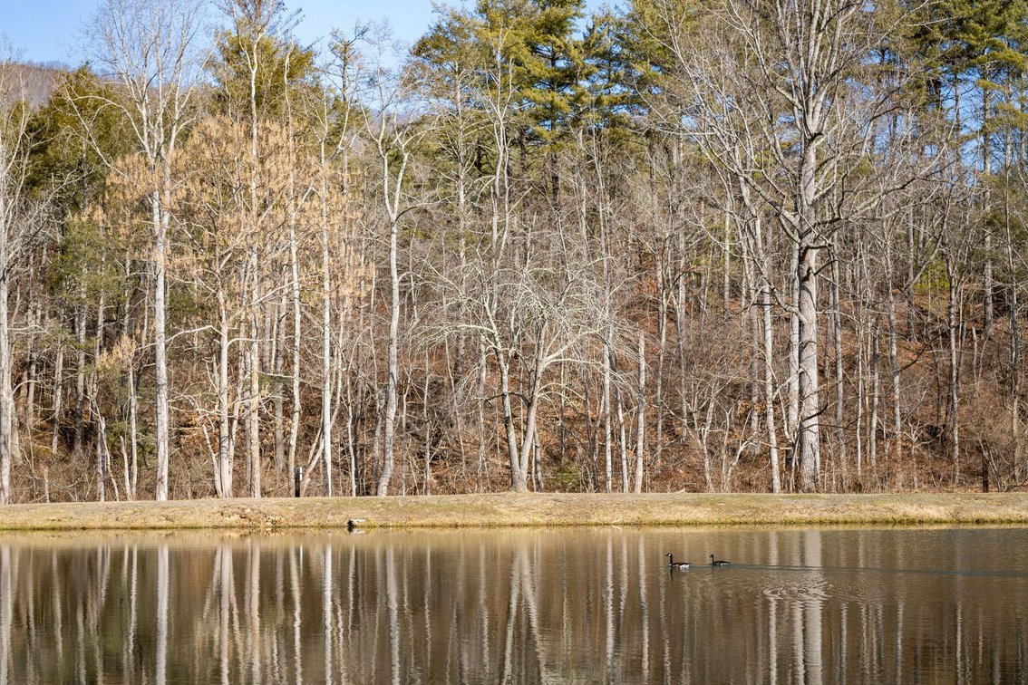 Image for Clifton Forge Home