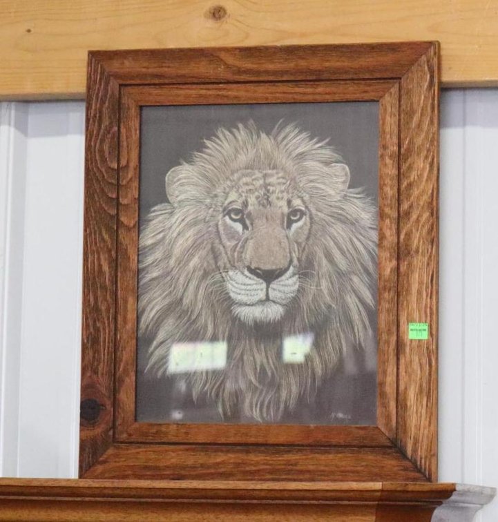Lion Framed Print and Photo