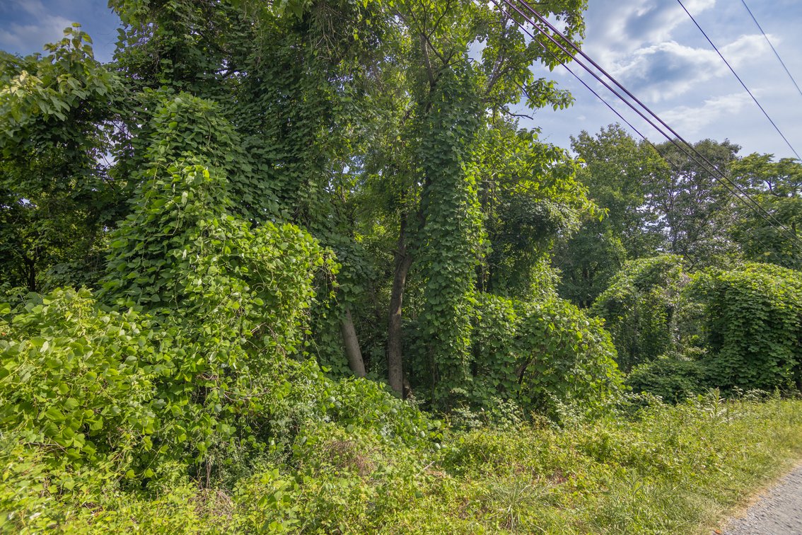 Image for 5.2 Acres on Afton - No Reserve