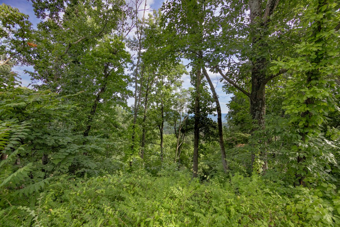 Image for 5.2 Acres on Afton - No Reserve