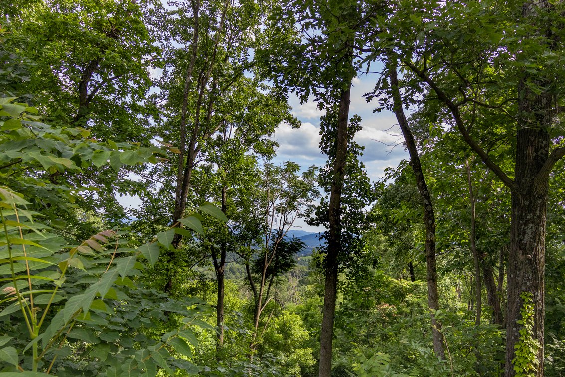 Image for 5.2 Acres on Afton - No Reserve
