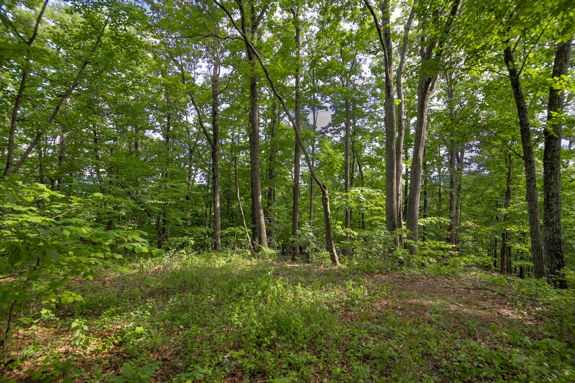 Image for 5.2 Acres on Afton - No Reserve