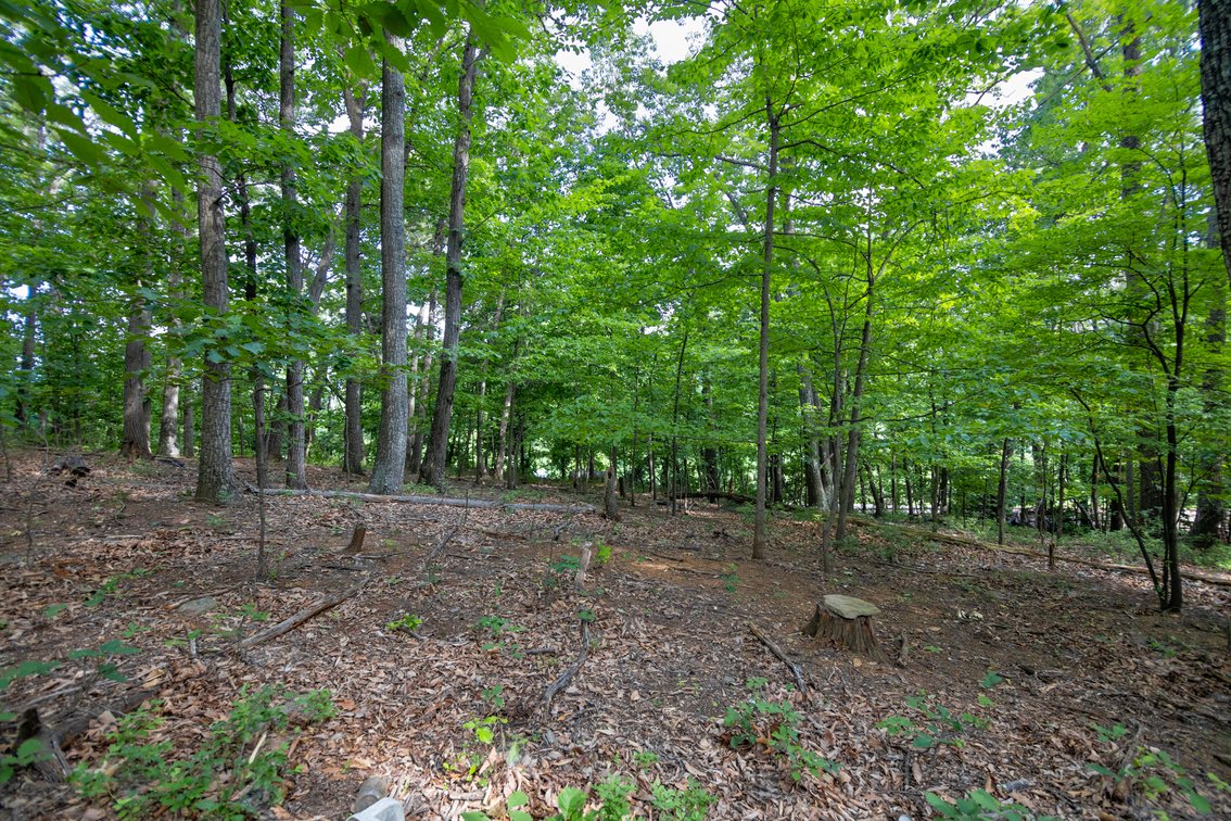 Image for 5.2 Acres on Afton - No Reserve
