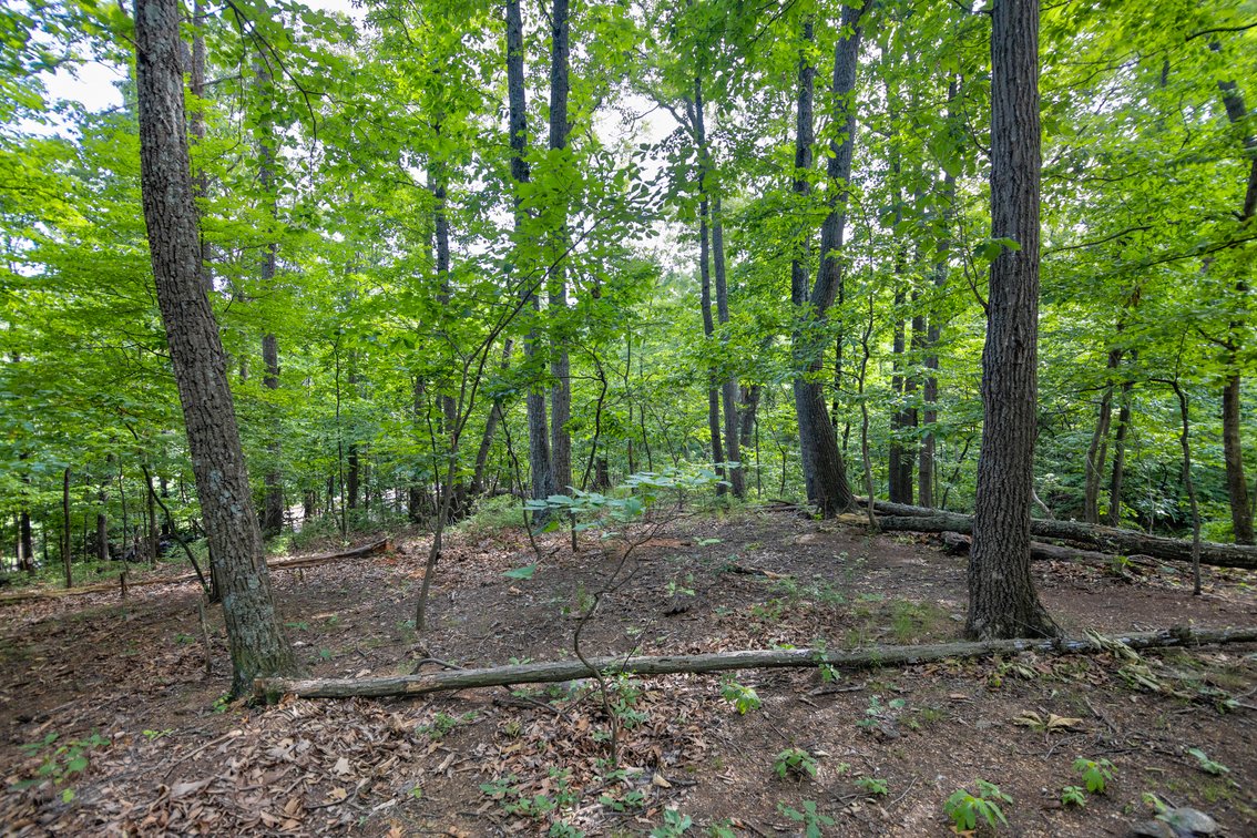 Image for 5.2 Acres on Afton - No Reserve